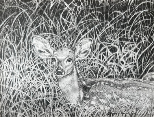 "The Fawn"